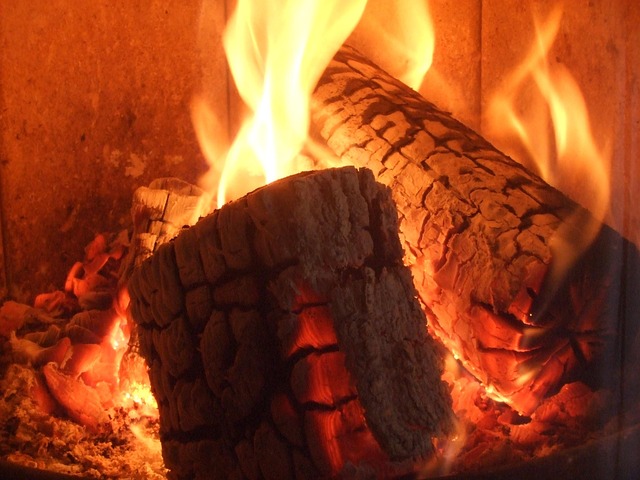 Free Fire Flames Wood Fire photo and picture