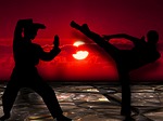 martial arts, silhuetten, muay thai