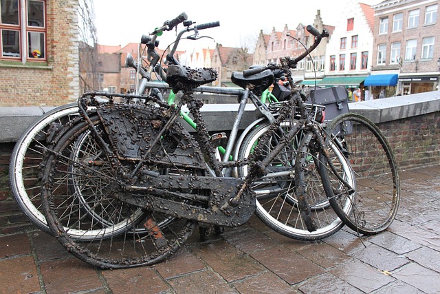 Cykel, Vrag, Muslinger