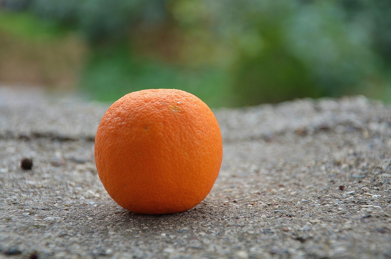 Orange - free online jigsaw puzzle photo