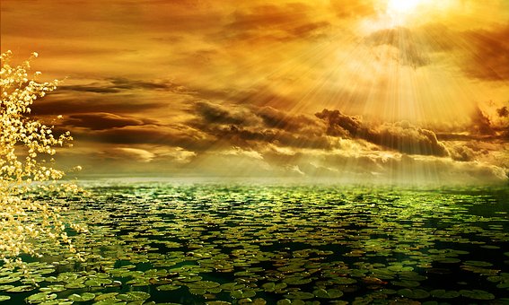 Free Composing Sunbeam photo and picture
