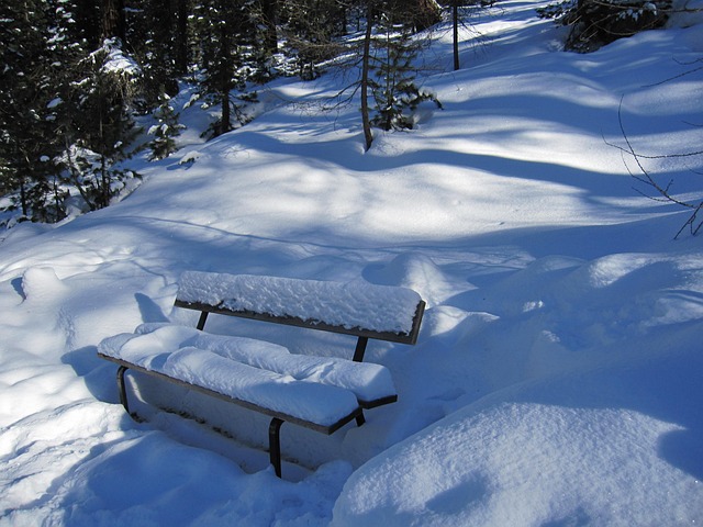Free Snow Winter photo and picture