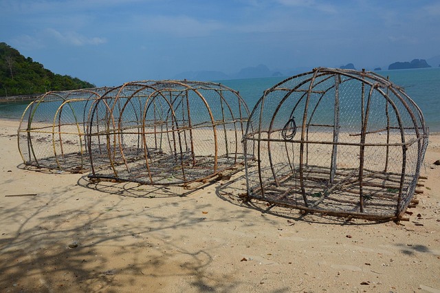 Free Fish Trap Baskets photo and picture