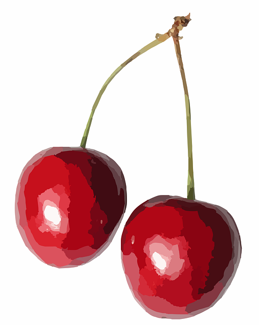 Free cherries food fruit vector
