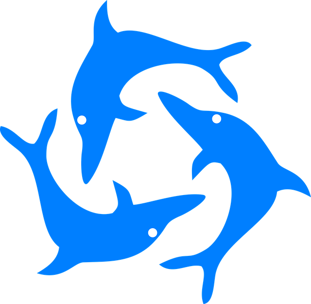Free dolphins fish nature illustration