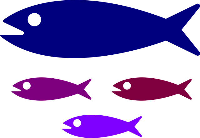 Stime, Natur, Fisk, Fisk Familie, Vand