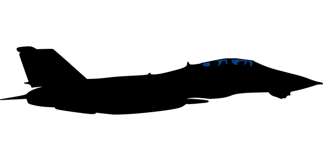 Free tomcat plane fighter vector