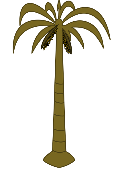 Palmera, Palma, Naturaleza, Tropical