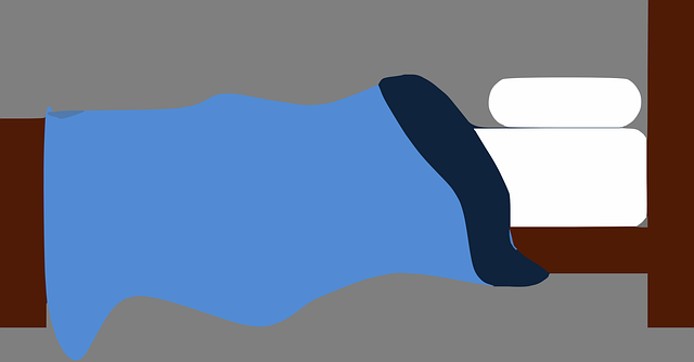 Free bedroom sleeping room vector