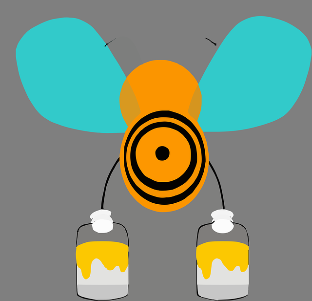 Free bee insect honeybee vector