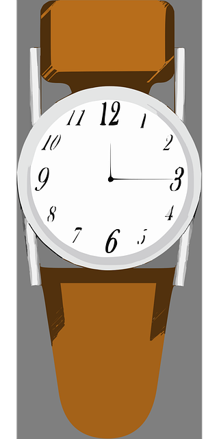 Free time watch accessories vector