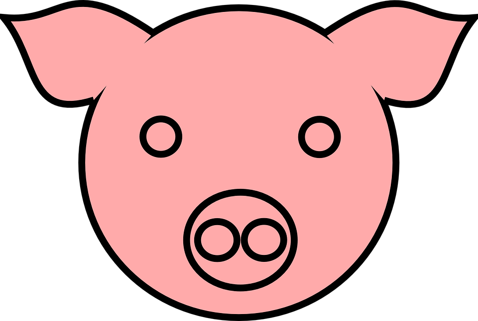 101 Gambar Babi Warna Pink Kekinian 101 Gambar Babi Warna Pink Kekinian