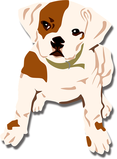 Free dog animal bulldog vector