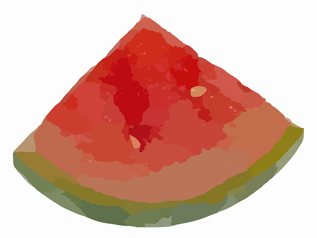 Free watermelon melon slice vector