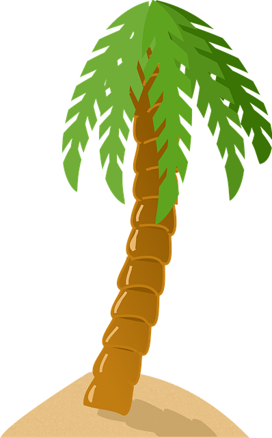 Download free HD stock image of Palm Tree Exotic Free palm tree exotic tropical vector