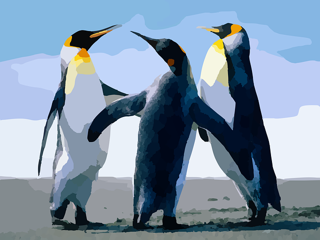 Free penguins tux nature illustration