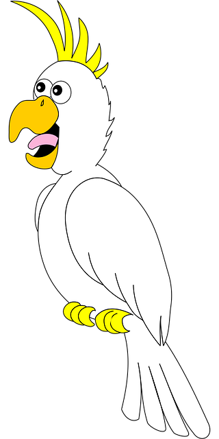 Free parrot bird white vector