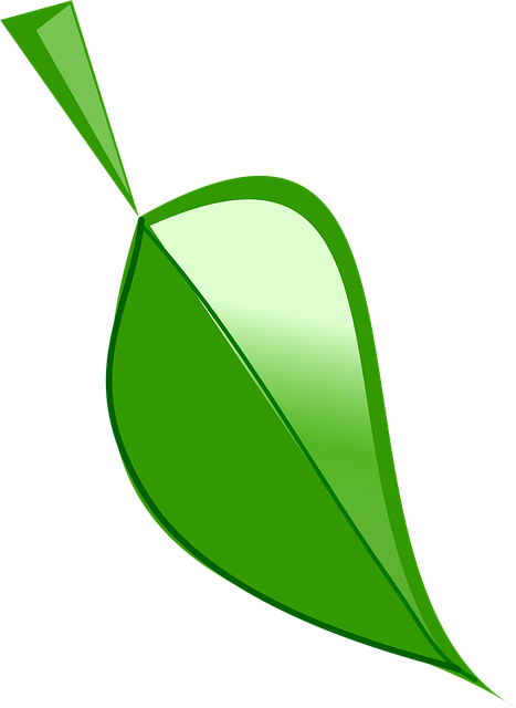 Free leaf green nature vector