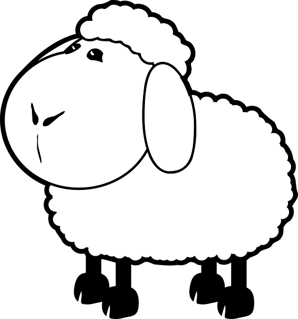 Schaap, Natuur, Boerderij, Lam, Dier