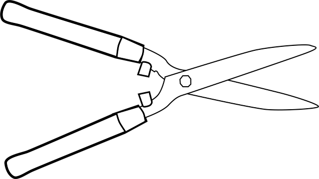 Free hedge cutter scissors tool vector