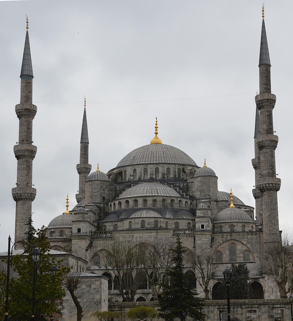 Free Blue Mosque Mosque photo and picture