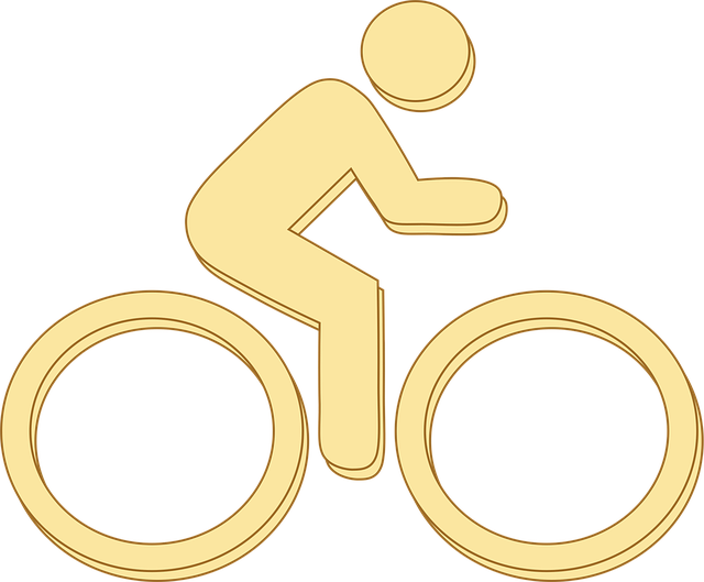 Free Bicycle Bike vector and picture