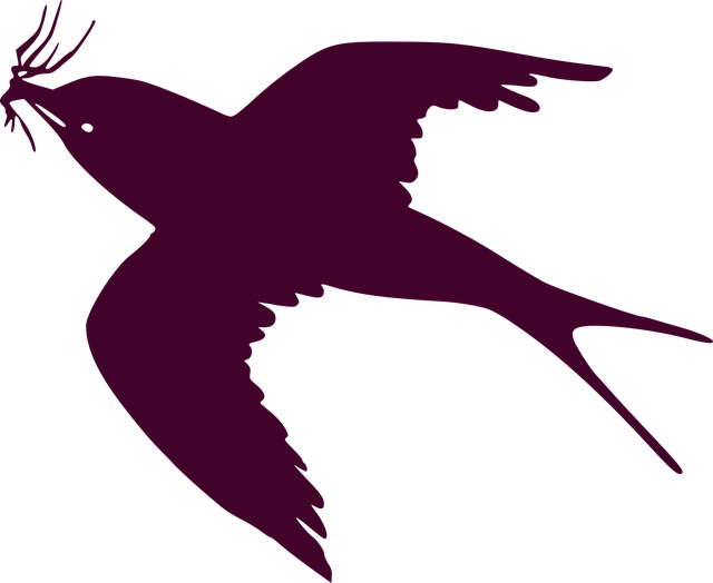 Free swallow bird nature vector