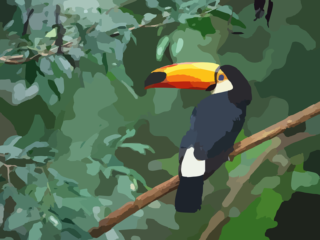 Free toucan bird exotic illustration