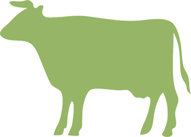 Free cow cattle green vector
