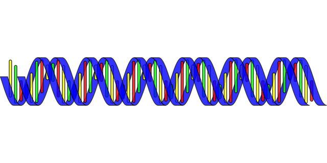 Free dna double helix science vector