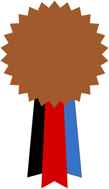 Free certificate diploma medal vector