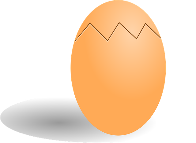 Free Egg Food vector and picture