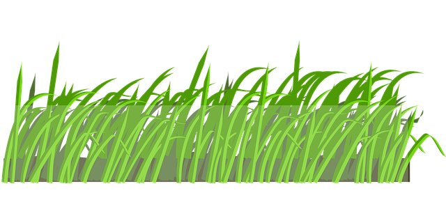 Free Lawn Background Vector Art - Download 9,598+ Lawn Background Icons ...