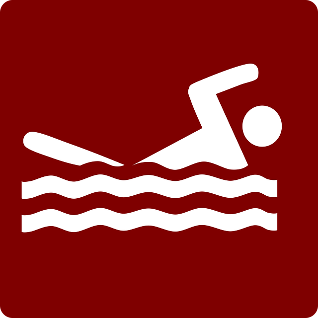 Free swim the crawl swimmer pool vector