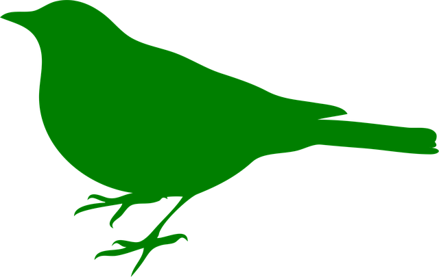 Free bird animal nature vector