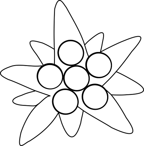 アルビニズム 白いに関する4以上の無料イラスト Pixabay