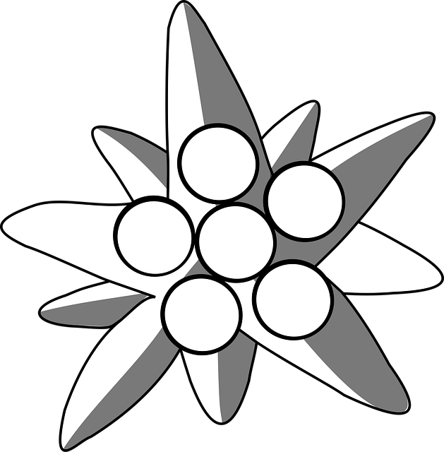 Free edelweiss flower background flower vector