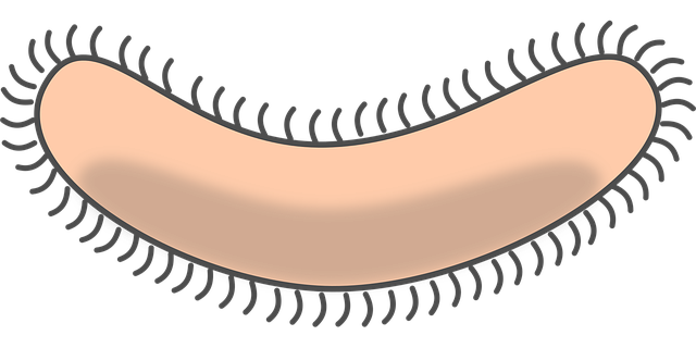 Free bacteria germ pathogene vector