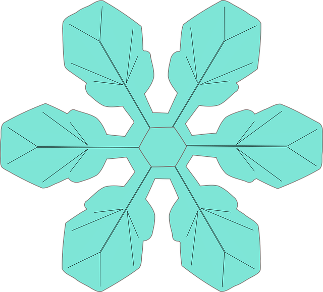 Free snowflake ice crystal crystal vector