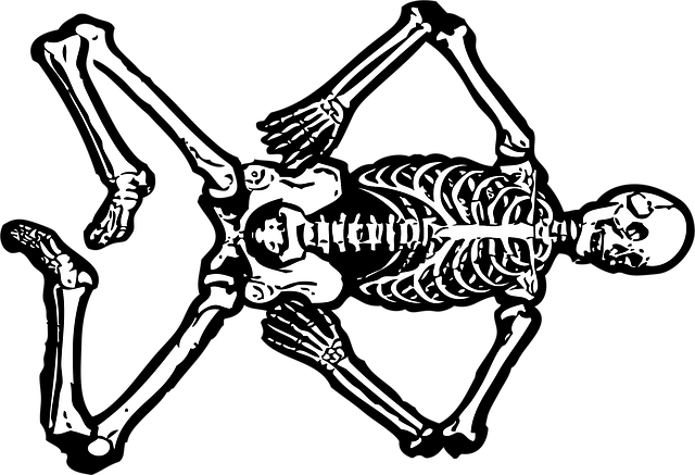 Free Skeleton Dead vector and picture