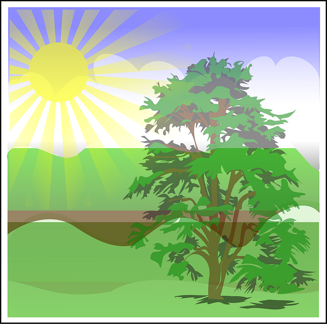 Free landscape summer tree vector