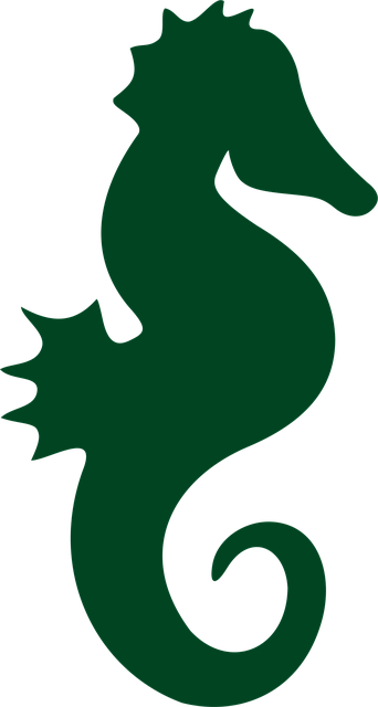 Sjøhest, Sea Horse, Livet I Havet, Natur