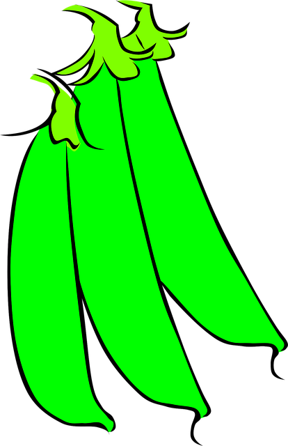 Free peas nature vegetables vector