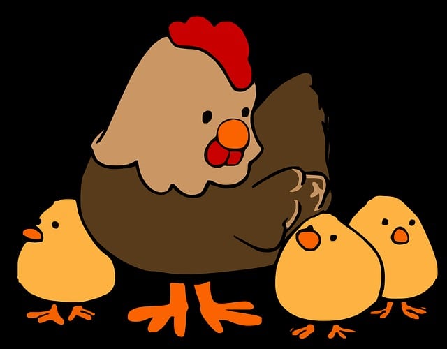 Free Hen Chicken vector and picture