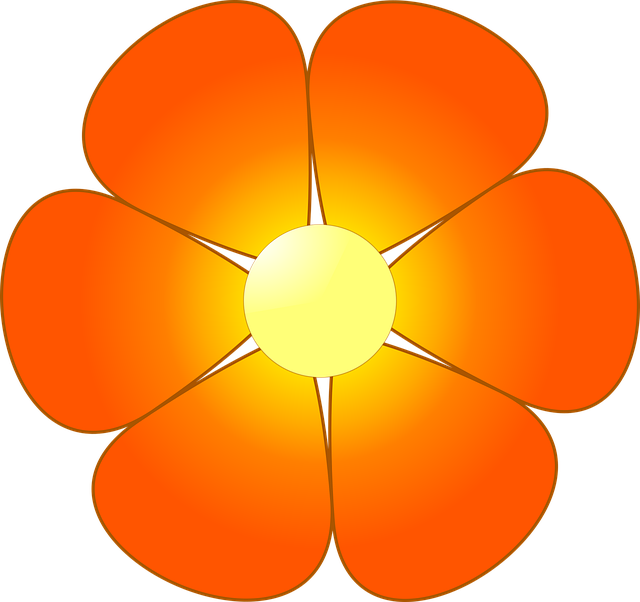 Sonnenblume, Natur, Rot, Sonnig