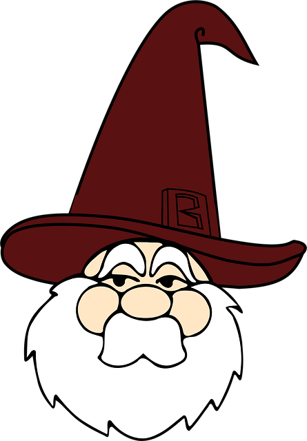 Free wizard red hat vector