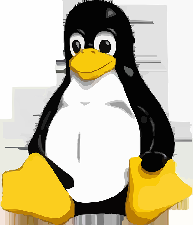 Resultado de imagen para linux"