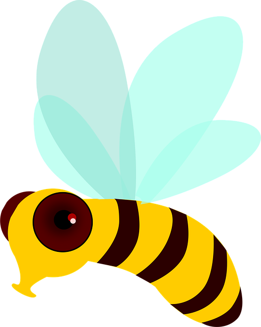 Free honey bee bee fly vector