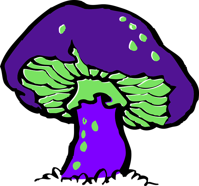 Free mushroom poisonous green vector