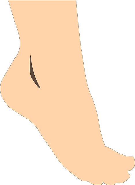 Free pedicure barefoot feet vector